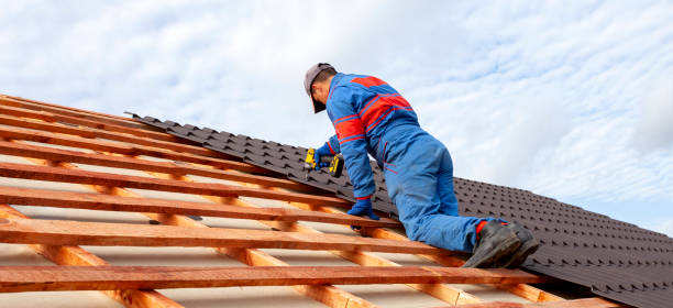 Best Skylight Installation and Repair  in Norris City, IL