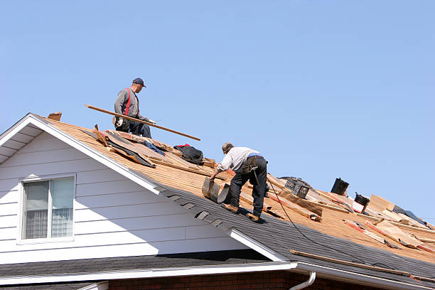 Best Roof Insulation Installation  in Norris City, IL